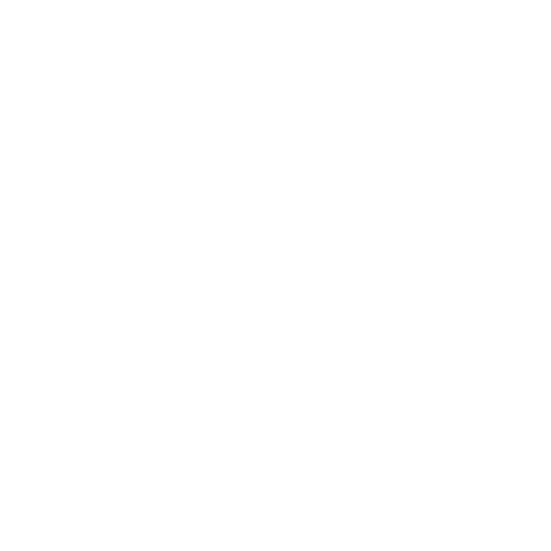 EXAMEV